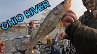 Fishing for SAUGER on the OHIO RIVER!!