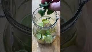 Refreshing Lemon Lime Ginger Mint and Cider Vinegar Water Recipe