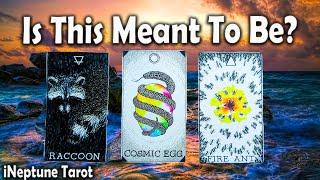 IS IT MEANT TO BE? WHERE IS YOUR CONNECTION HEADING? | Pick-a-Card Timeless Tarot Reading