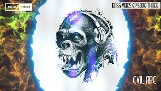 Soultribe Music - Bass Vibes ep 03 with Evil Ape