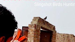 Slingshot hunting in Pakistan