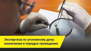 Экспертиза по уголовному делу: назначение и порядок проведения