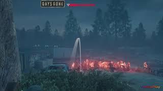 Days Gone  Орда Чемулта ,ранчо Айрон-Бьютт, Лесопилка.Разнос за короткое время (3 орды в1 видео)