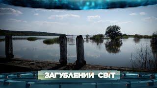 РІЧКА ГЕРОЙ! Як невеличка річка Ірпінь зупинила ворога?