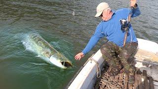 Pecanje soma na Dunavu - Dubinsko pecanje soma na skakavca - Alasi na Dunavu | Fishing catfish