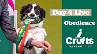 Obedience Day 4 LIVE | Dog Obedience Championship | Crufts 2025