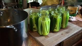 MRS WAGES PICKLING RECIPE - THIS IS SO EASY... AND MAKES GREAT PICKLES!