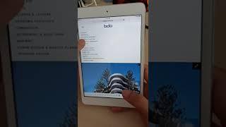 BDA Website Portrait Viewing from iPad Mini