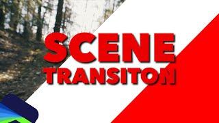 How to Make SMOOTH Stinger/Scene Transition in LumaFusion | Tutorial