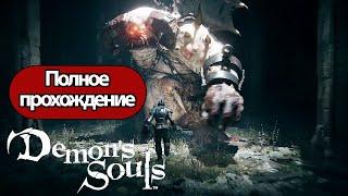 Полное Прохождение Demon's Souls (без комментариев)