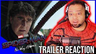 Spider-Man: No Way Home Trailer Reaction & Review!!