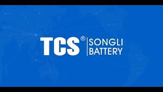 TCS/SONGLI BATTERY GROUP LIMITED INTRODUCTION