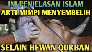 Ini Bagus - Arti Mimpi Menyembelih Hewan Selain Hewan Qurban - Menurut Islam