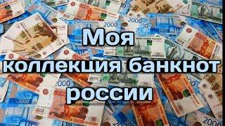 Моя коллекция банкнот россии.