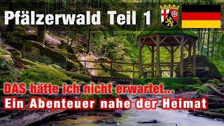 Unterwegs im Pfälzerwald Teil 1 - Ein Abenteuer nahe der Heimat