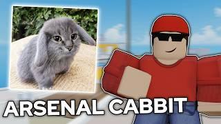 CABBITS ADDED TO ARSENAL..? (Roblox Arsenal)