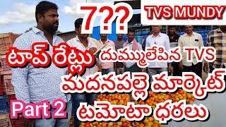 11-12-24 Madanapalle Tomato Market price Today || Today Tomato Market Rate in Madanapalle #today