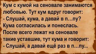 Про кума с кумой на сеновале... Сборник анекдотов!