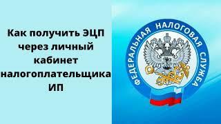 Как получить ЭЦП через личный кабинет налогоплательщика ИП