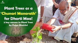 Plant Trees as a ‘Chunari Manorath’ for Dharti Maa! 5 key reasons to #PlantTrees by Pujya Bhaishri