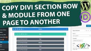 How to Copy Divi Section Row and Module from One Page to Another Page in WordPress