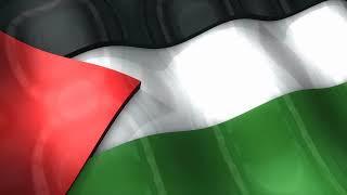 3D Palestine Flag Waving