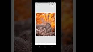 Snapseed Background Change Photo Editing Tricks 2022 | Snapseed Face Smooth Photo Edit Tutorial |