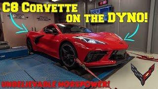 2020 C8 CORVETTE on the DYNO! WAY higher horsepower and torque than GM is reporting!!