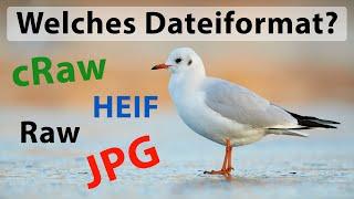 Dateiformate - DAS solltest du wissen zum Thema Raw, cRaw, JPEG und HEIF