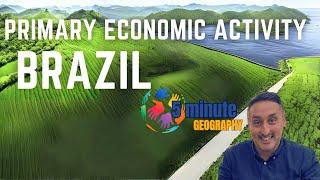 Brazil's Primary Economic Activity