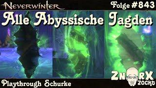 NEVERWINTER #843 DÄMONENNETZGRUBEN - Alle 16 Abyssische Jagden - Let's Play Schurke PS4/PS5 Deutsch