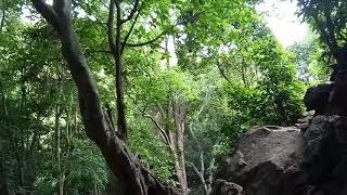 Ayyanar falls forest place  in dindugal