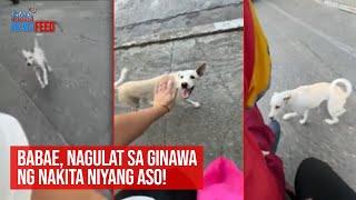 Babae, nagulat sa ginawa ng nakita niyang aso! | GMA Integrated Newsfeed