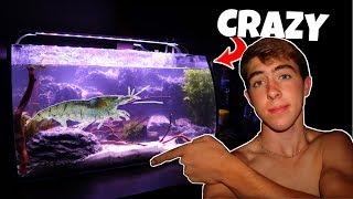 New CRAZY CREATURES For Exotic Betta Fish Tank!?