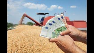 Bonus lavoratori agricoli 2021, 800€ da richiedere ora