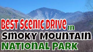 Best Scenic Drive in Great Smoky Mountain National Park!