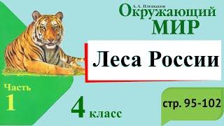 Леса России. Окружающий мир. 4 класс, 1 часть. Учебник А. Плешаков стр. 95-102