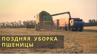 ПОЗДНЯЯ УБОРКА ПШЕНИЦЫ 2021. Уборка двумя комбайнами JOHN DEERE