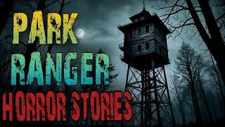 Scary Park Ranger Stories That Will Give You Chills | Forest Ranger, National Park, Missing Person