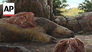 Giant sloths and mastodons lived with humans for millennia in Americas, new discoveries suggest