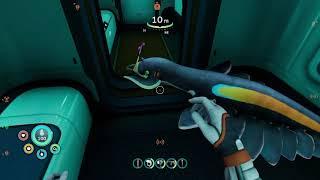 Subnautica Below Zero - Pinnacarid stuck inside Seatruck