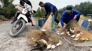 Hai chú cháu chài cá trúng đậm cá mè dảnh mè dinh