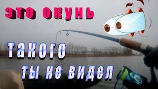 Окунь Бомба Такого Вы Не Видели