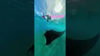 Swimming with Manta Rays in Manta Bay, Nusa Penida, Bali #explore #travel #bali #insta360