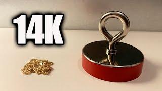 Is 14 Karat Gold Magnetic ?? Gold vs Heavy Duty Magnet