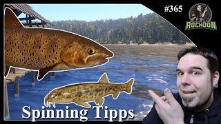 Tunguska Spinning Spots & Anregungen | Russian Fishing 4 | #koontainment