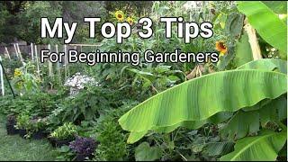 My Top 3 Gardening Tips For Beginning Gardeners - Tips For Beginners