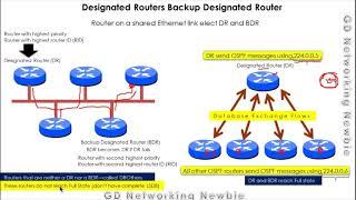 Designated Router and Backup Designated Routers in OSPF