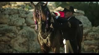 Menorcan Horses - Ludo Brockway (BROXSTAR FILMS / BLISSIUM FILMS)