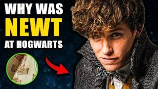 Why Newt Scamander Was on the Marauder's Map (6 Harry Potter Theories)